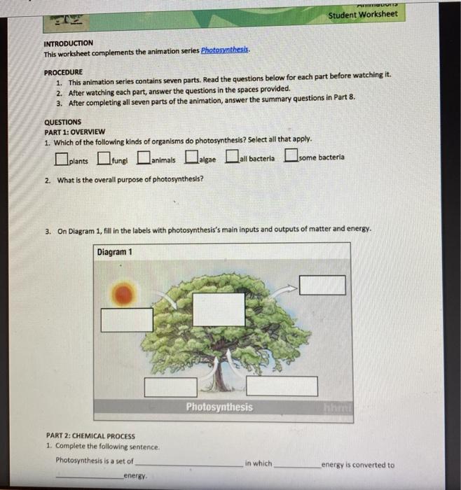 30-photosynthesis-animation-student-worksheet-answers-worksheets-decoomo