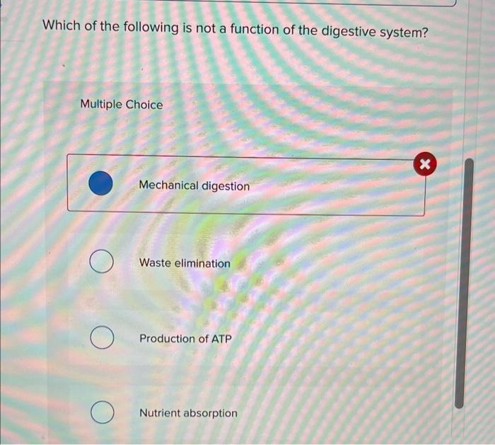 Solved Which of the following is not a function of the | Chegg.com