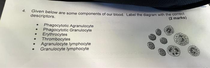 Solved 4. Given below are some components of our blood. | Chegg.com