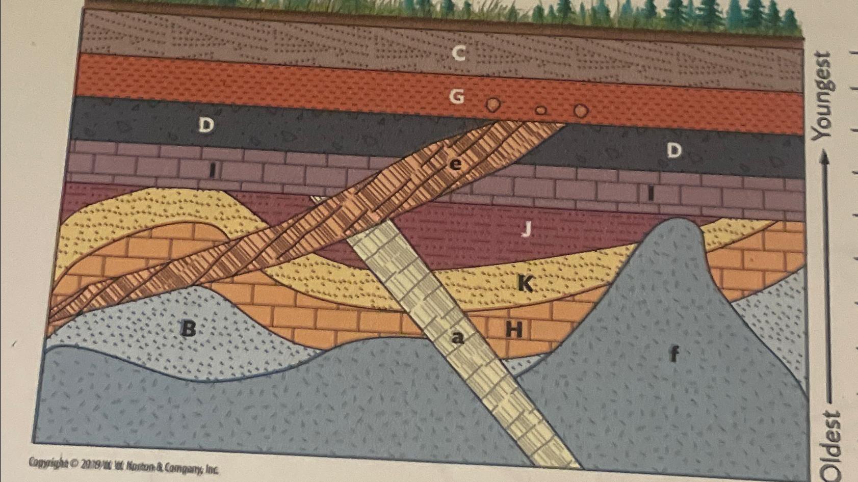 Solved List the rock units in order from oldest to youngest