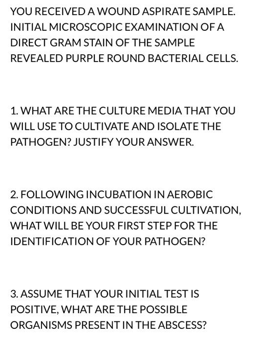 Solved YOU RECEIVED A WOUND ASPIRATE SAMPLE. INITIAL