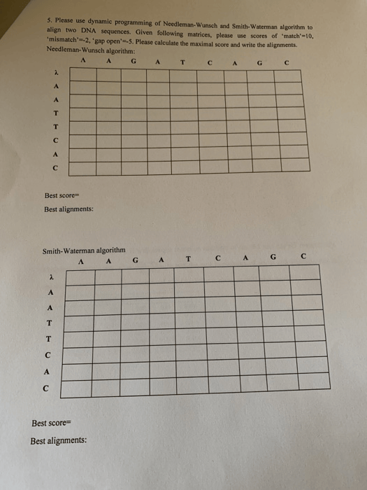 Solved 5. Please Use Dynamic Programming Of NeedlemanWun...