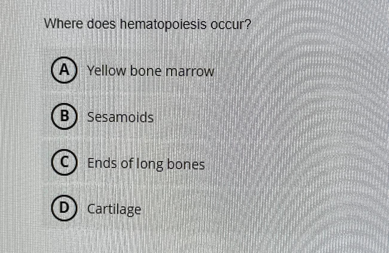 Solved Where does hematopoiesis occur?A Yellow bone marrowB