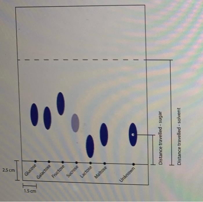 Solved Analyse the Paper chromatography results below which