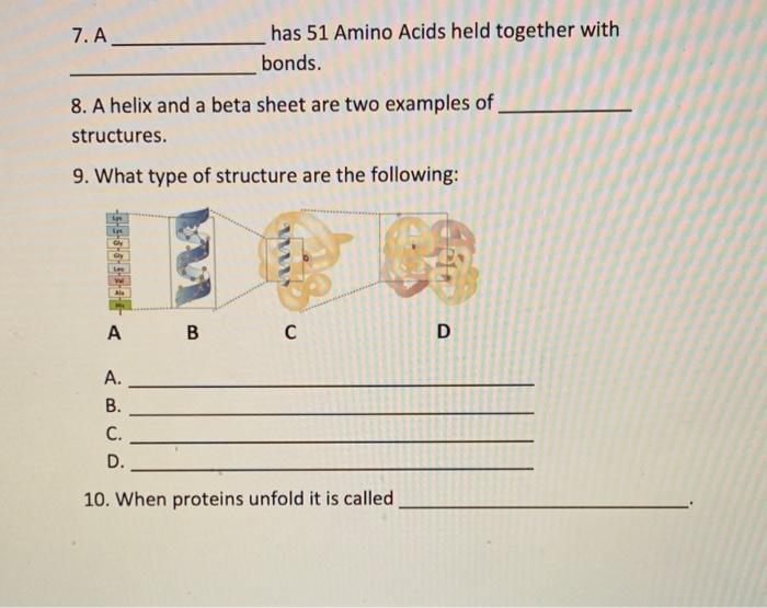 Solved 7. A has 51 Amino Acids held together with bonds. 8.