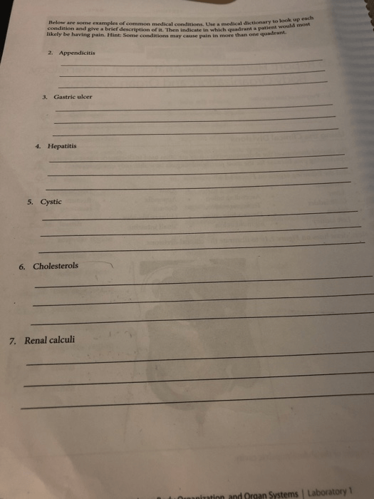 Solved LABORATORY 1 Lab Report Human Body Anatomical Te...