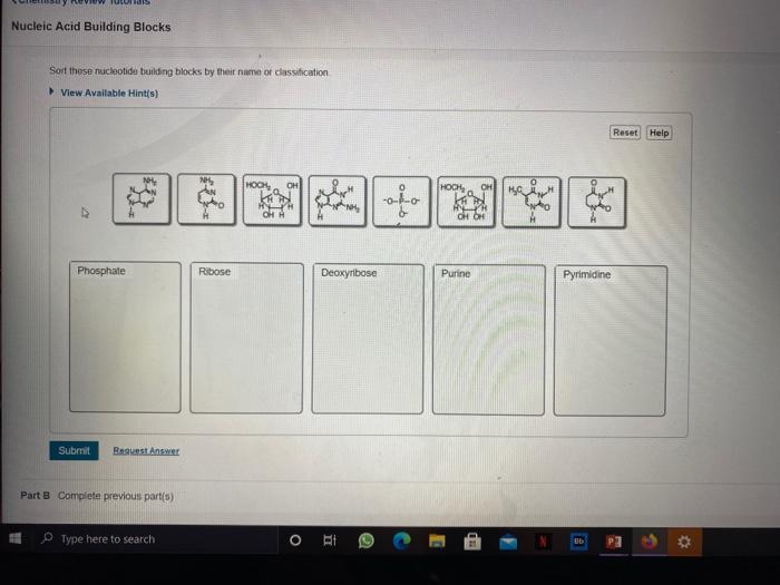 Solved US Nucleic Acid Building Blocks Sort these nucleotide