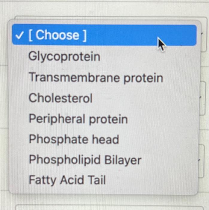 Solved Why do plant cells flaccid in concentrated