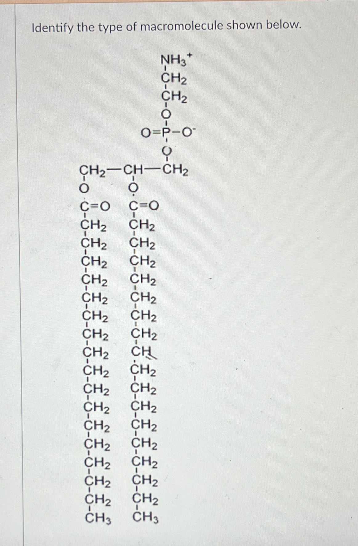 Solved Identify the type of macromolecule shown below. | Chegg.com