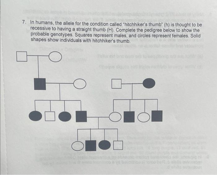 Solved 7. In humans, the allele for the condition called