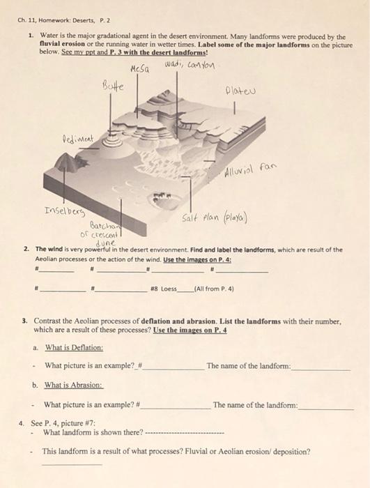 Solved Ch. 11, Homework Deserts, P. 2 1. Water is the major | Chegg.com