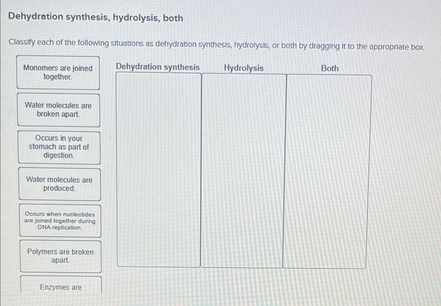 Solved Dehydration synthesis, hydrolysis, bothClassify each | Chegg.com