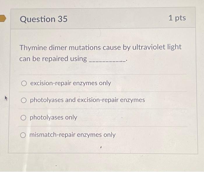 Solved Thymine dimer mutations cause by ultraviolet light