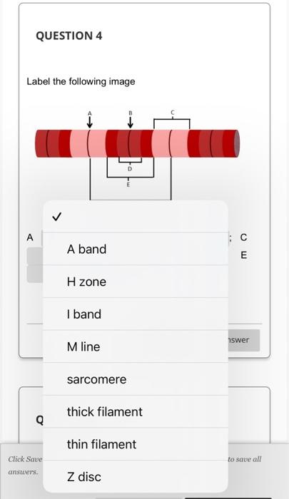 Solved Identify the structures in the following | Chegg.com