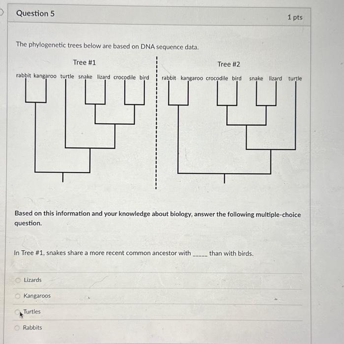 Solved Question 5 The phylogenetic trees below are based on | Chegg.com