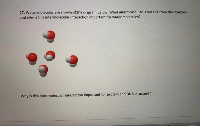 Solved 27. Water molecules are shown in the diagram below. | Chegg.com