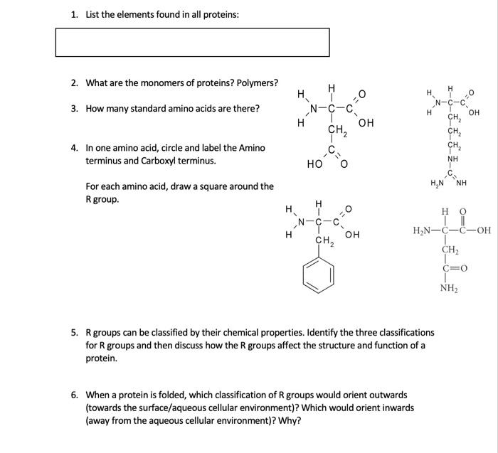 Solved 1. List the elements found in all proteins 2. What