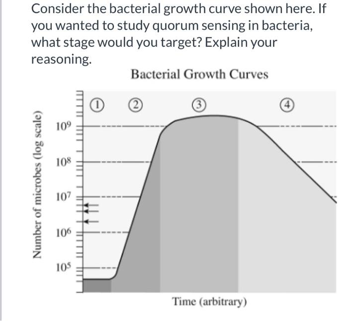 Solved Consider the bacterial growth curve shown here. If