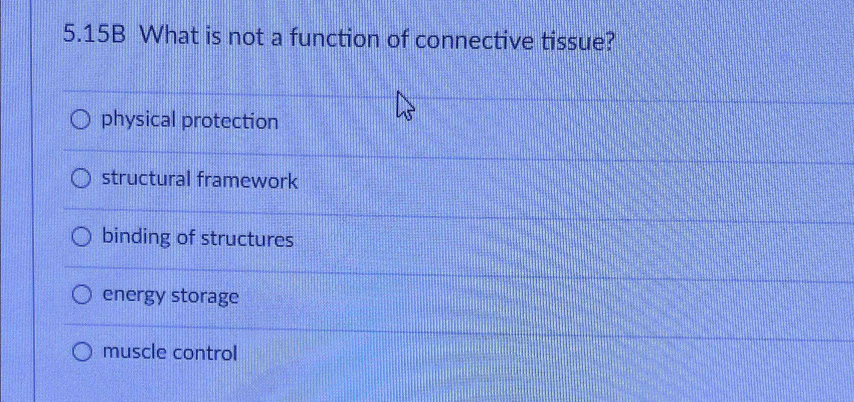 Solved 5.15B What is not a function of connective