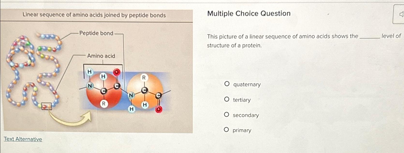 Solved Linear sequence of amino acids joined by peptide
