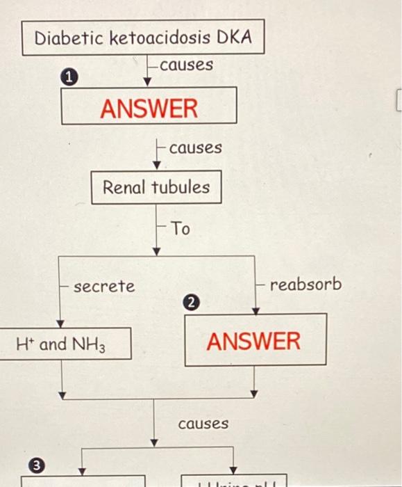 Solved Diabetic ketoacidosis DKA ANSWER↓ Urine pH decreased