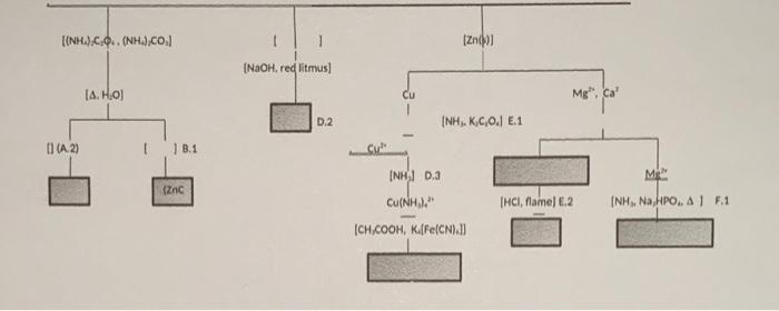 Solved complete the following diagram for the Qual I | Chegg.com