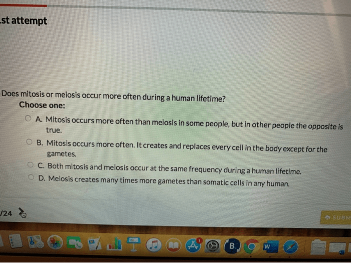 Solved St Attempt Does Mitosis Or Meiosis Occur More Often | Chegg.com