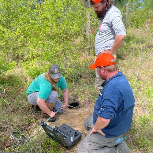 Chickasawhay Conservation Bank WES