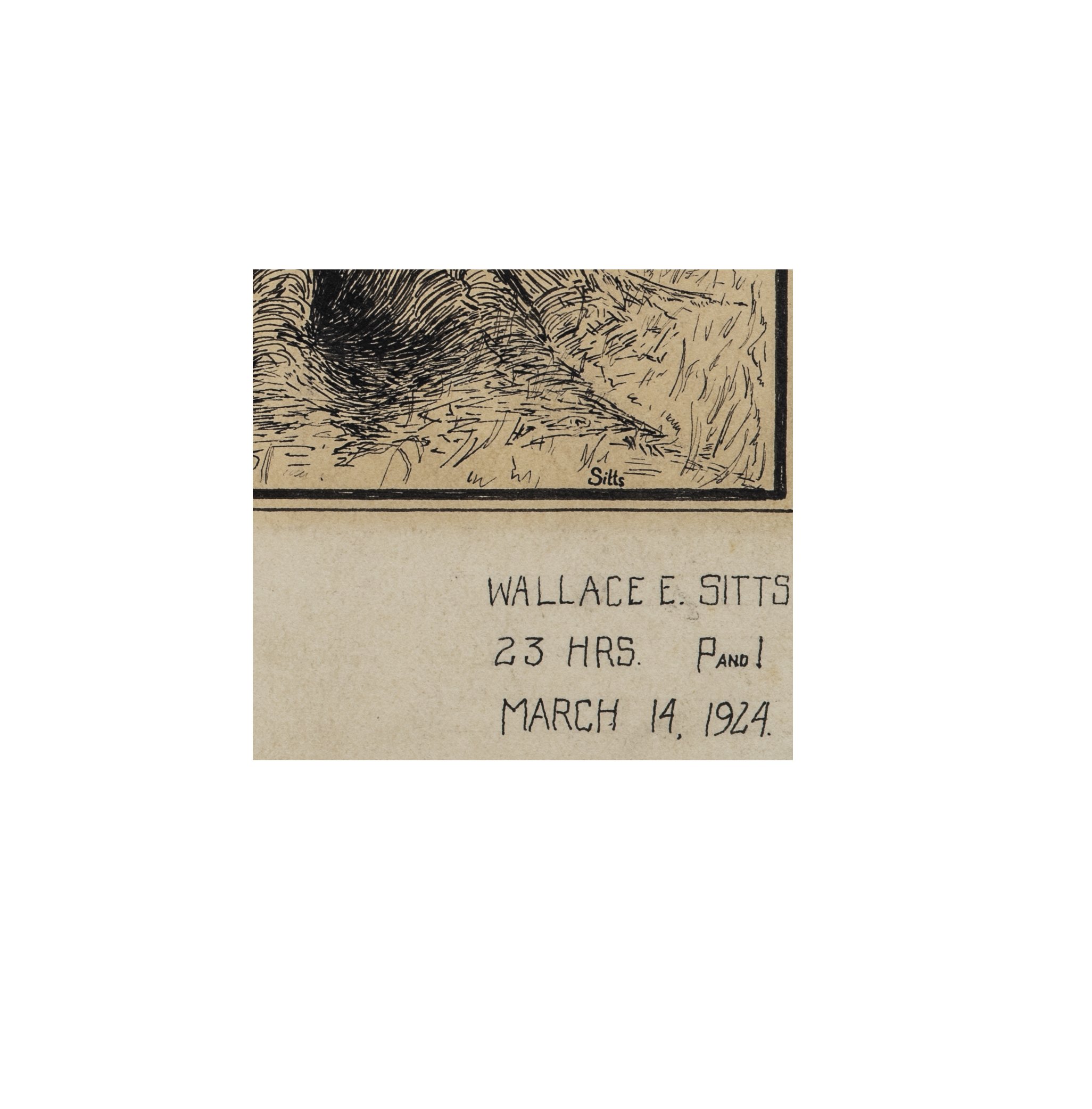 An Antique 1924 Illustration Art Drawing Under The Spreading Chestnut