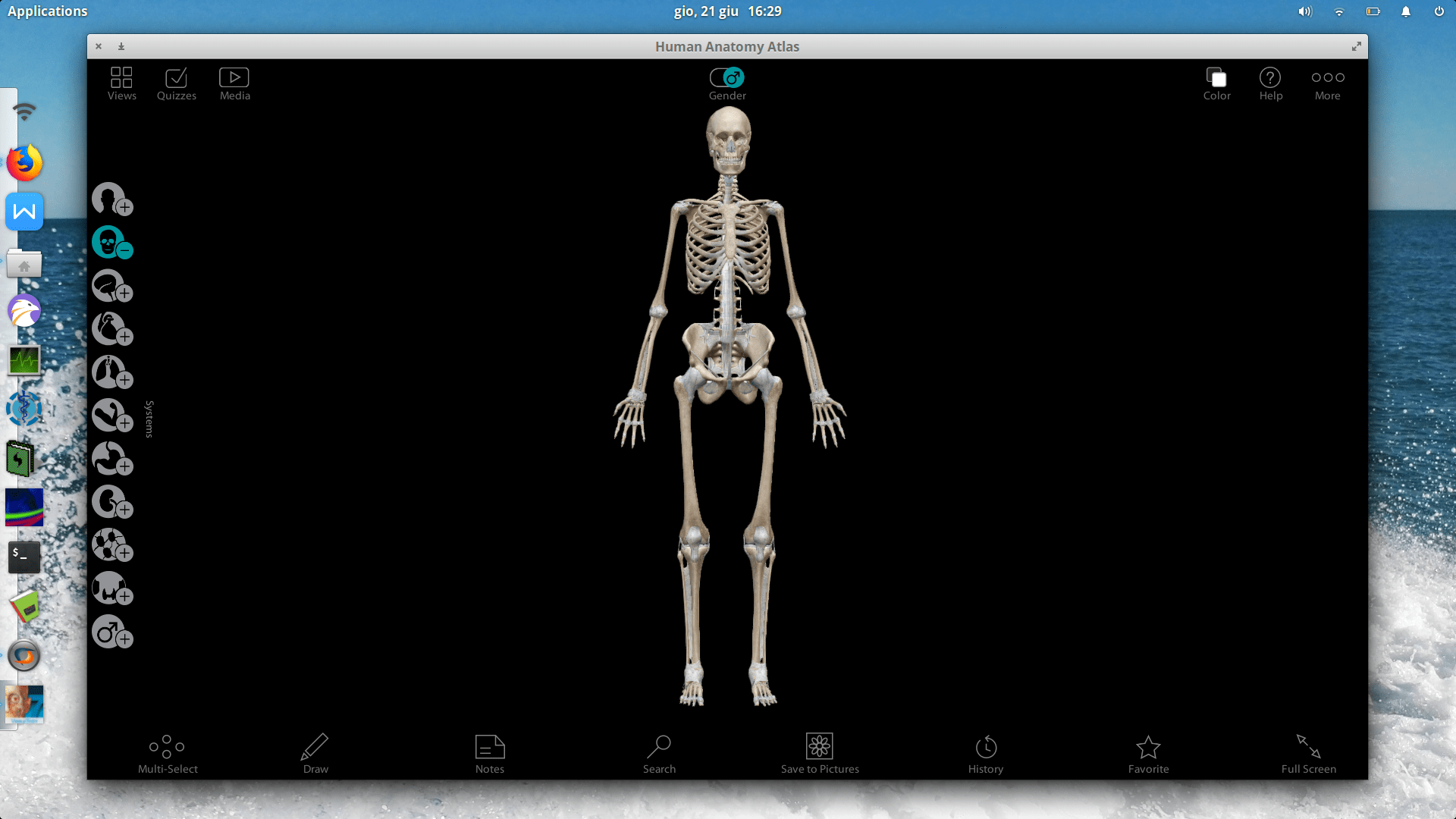 Will Human Anatomy Atlas 7.4.01 run on Mac or Linux? CodeWeavers