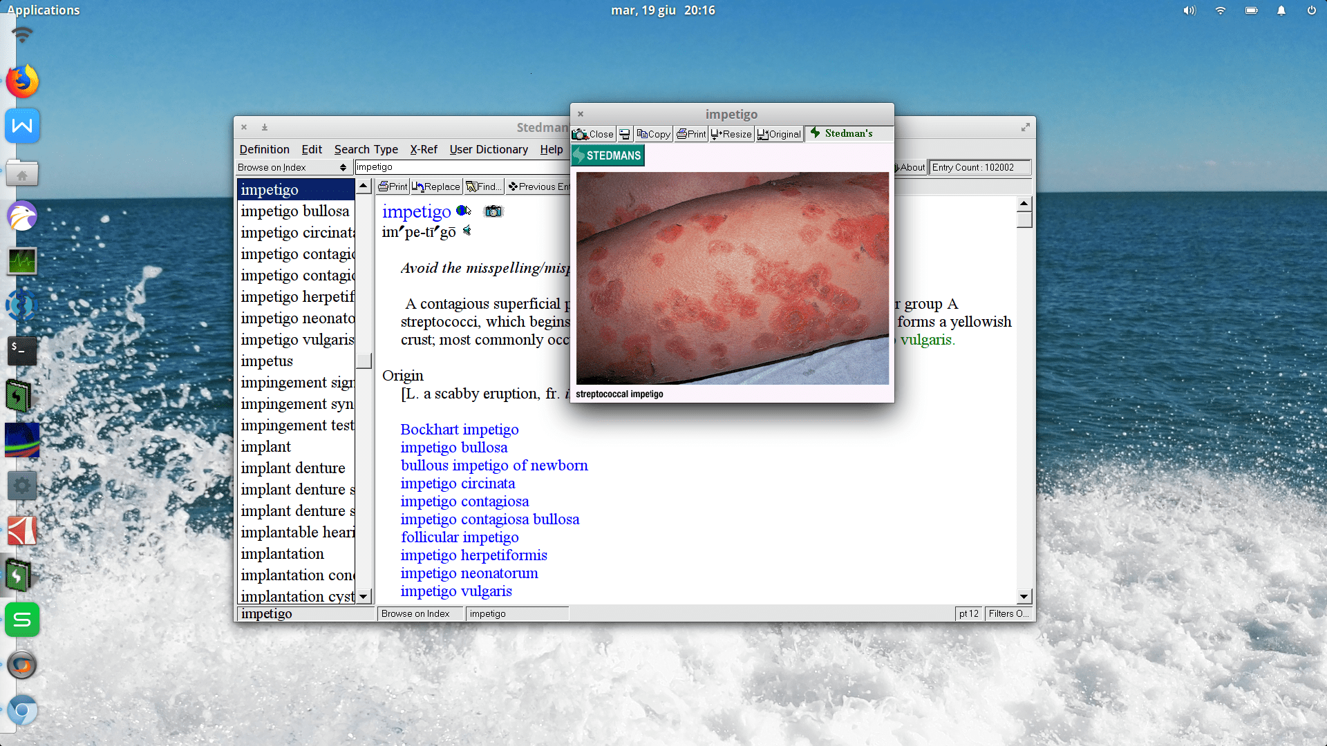 Stedman's Electronic Medical Dictionary Compatibility Database
