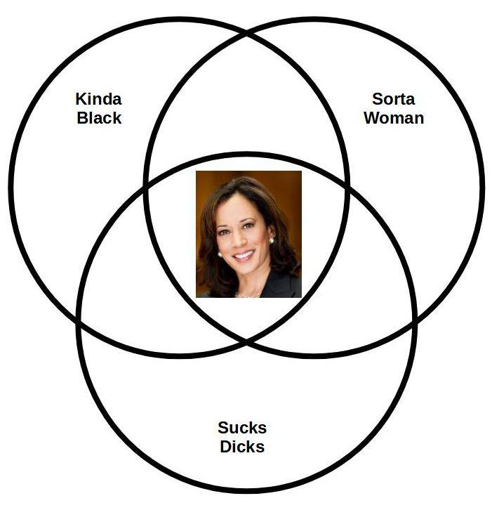 Kamala Love Venn Diagrams - The Donald - America First | Patriots Win