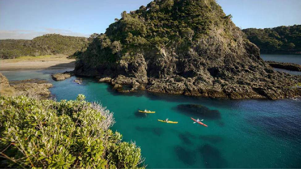 Costa 580 Lenses Costa Del Mar