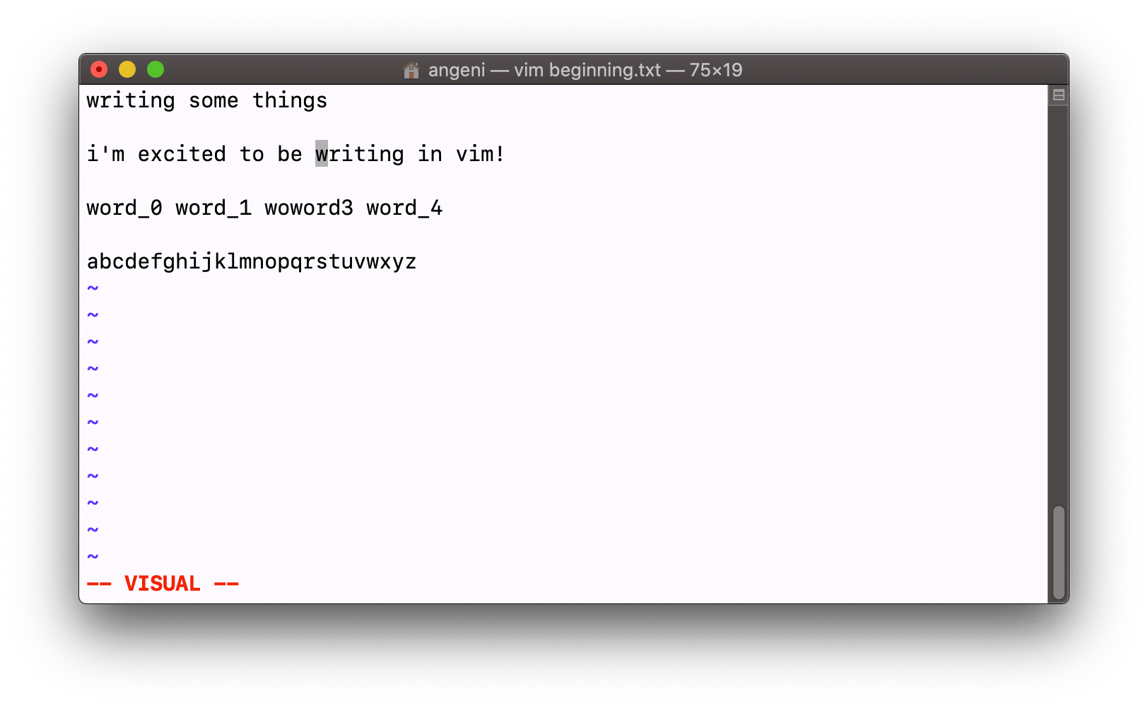 Beginner’s Guide to Vim The Basics