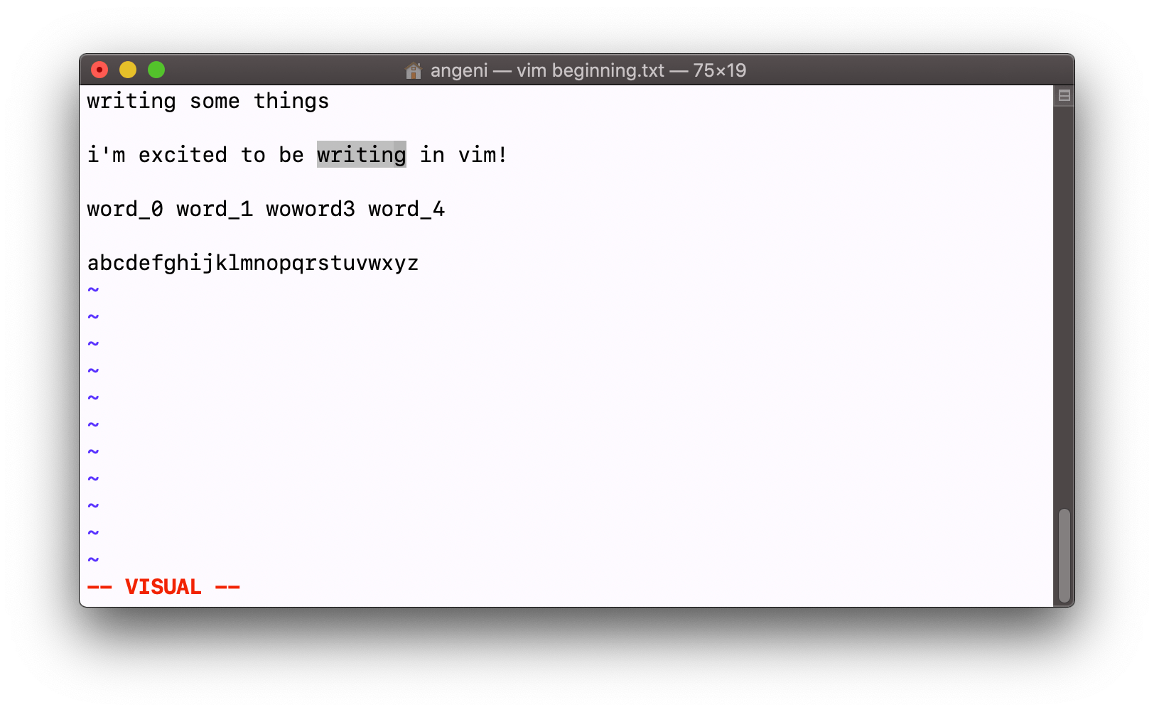 How To Copy All Lines Of A File In Vim at Terry Simmons blog