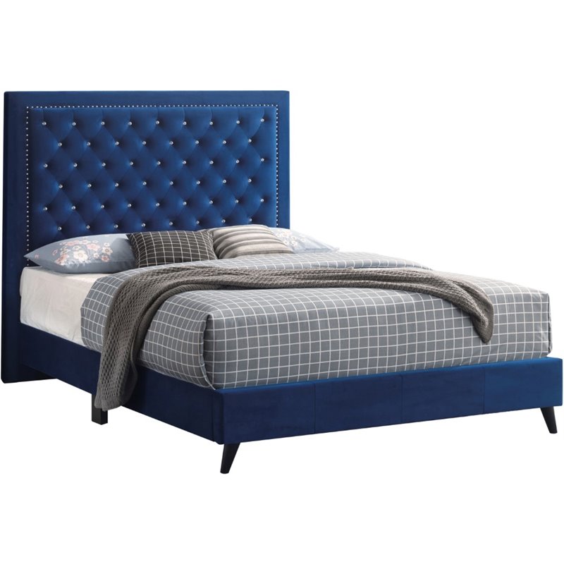 Glory Furniture Alba Velvet Upholstered Queen Bed in Navy Blue