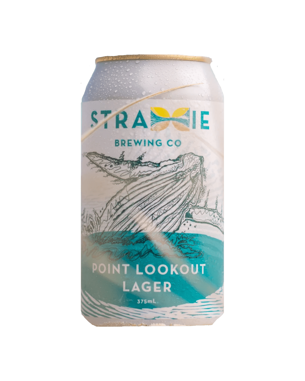 Buy Straddie Brewing Co Point Lookout Lager 375ml Online (Lowest Price