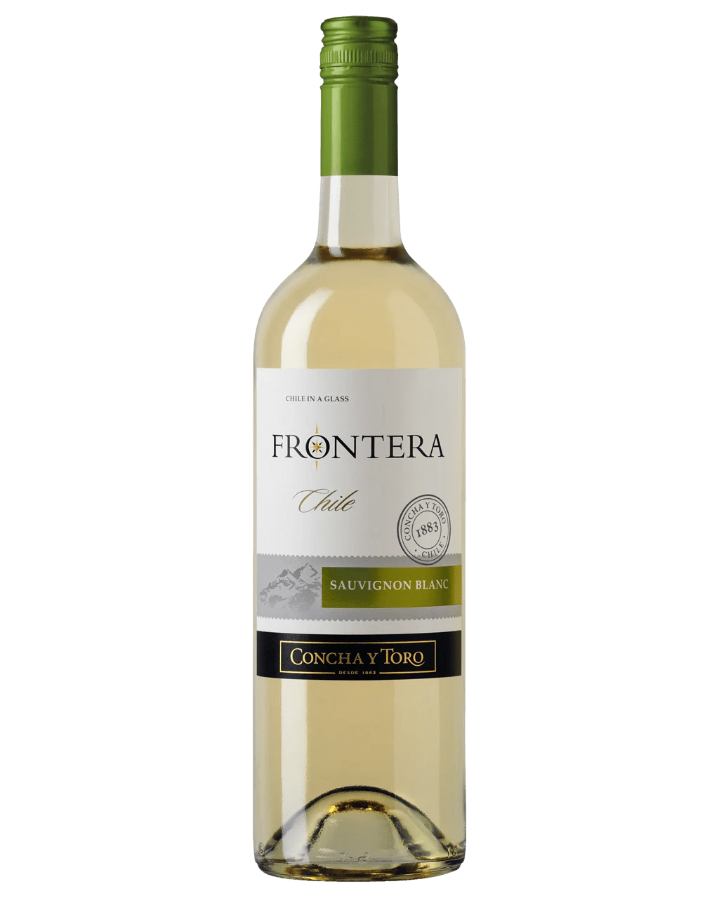 Buy Frontera Sauvignon Blanc Online (Lowest Price Guarantee) Best