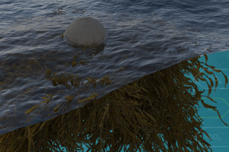 Microsoft pays Running Tide to remove 12,000 tons of CO2 by sinking