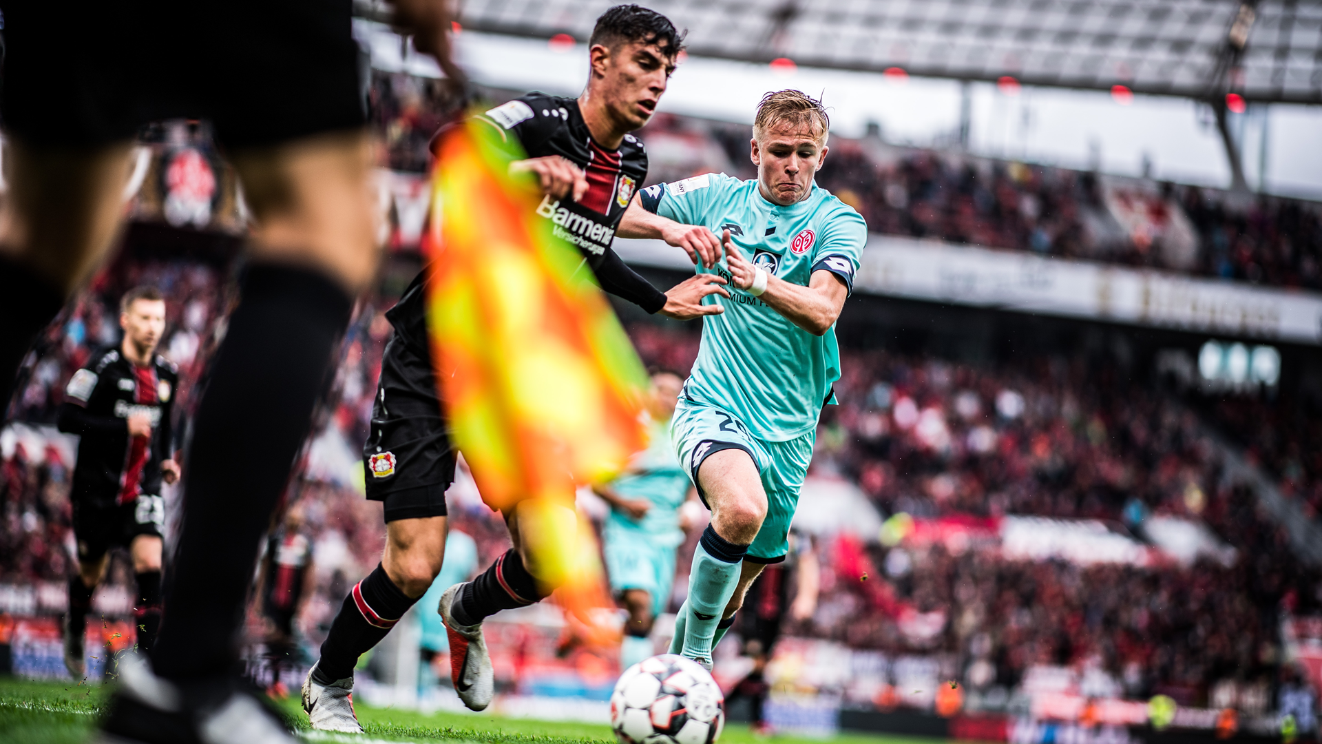 At least 12 German players and the local player rule EN DFL