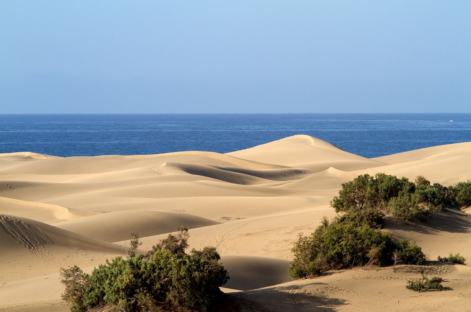 Direktflüge nach Gran Canaria ab 60 € Billigflüge finden mit