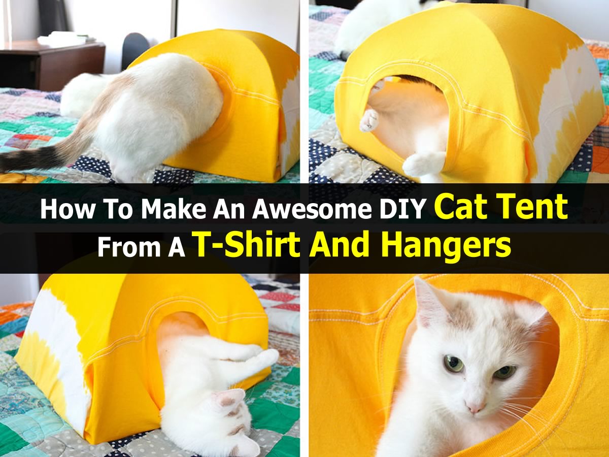 How To Make An Awesome DIY Cat Tent From A TShirt And Hangers