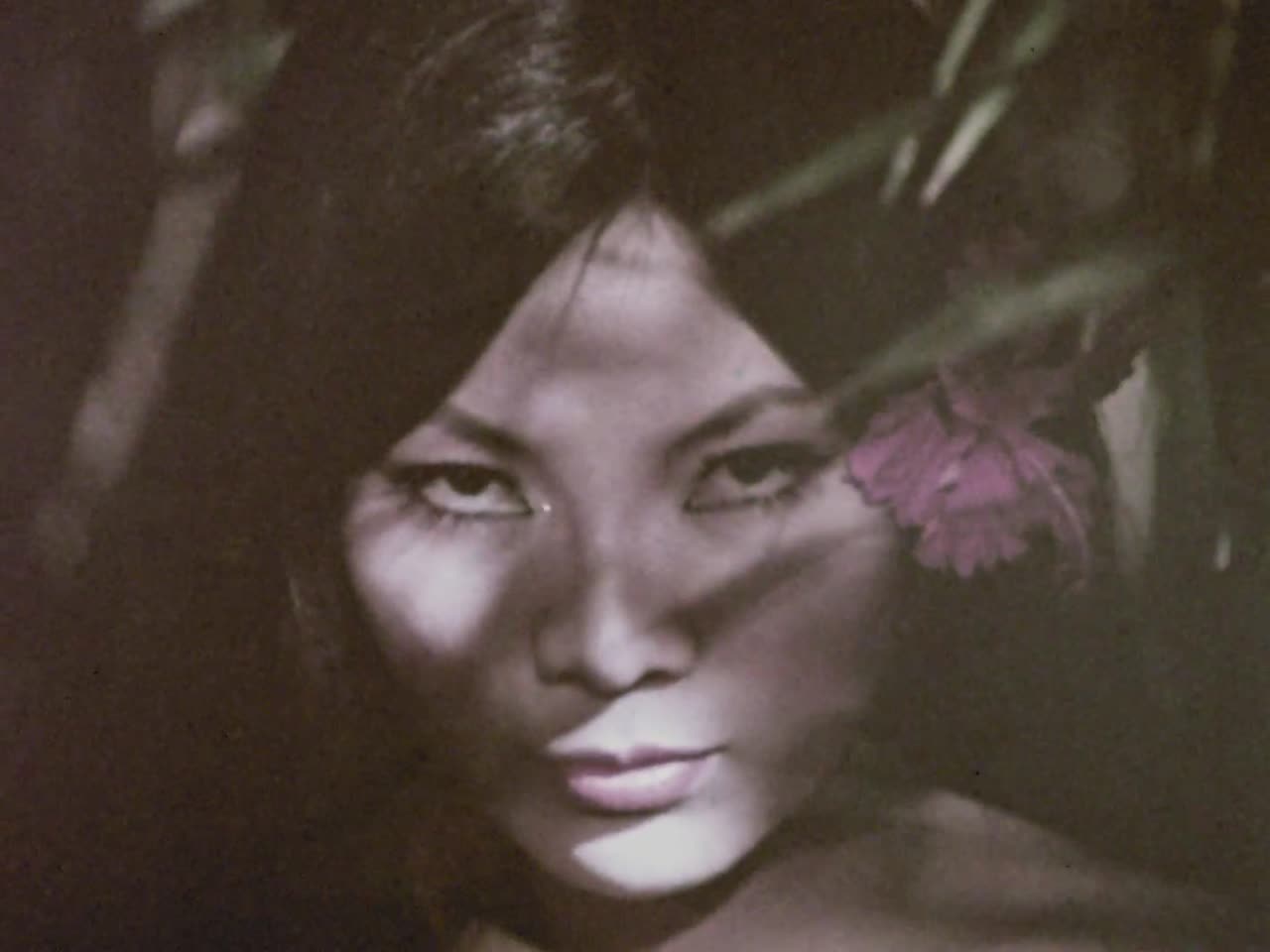 Jade East Men's Line "Firecracker" Media Collections Online