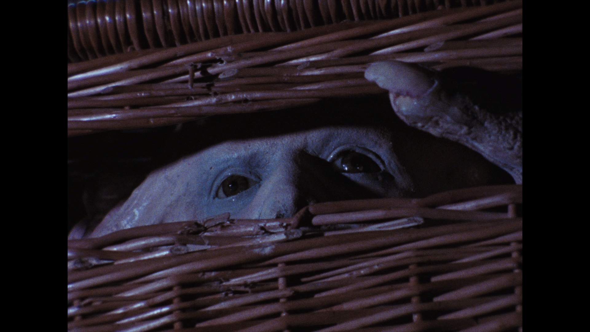 Basket Case Bluray Review