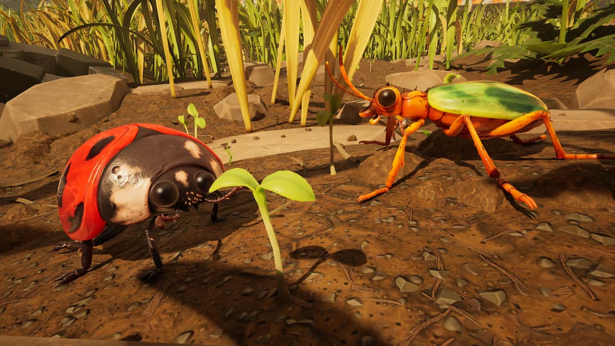 All Creature Cards and how to get them in Grounded 2