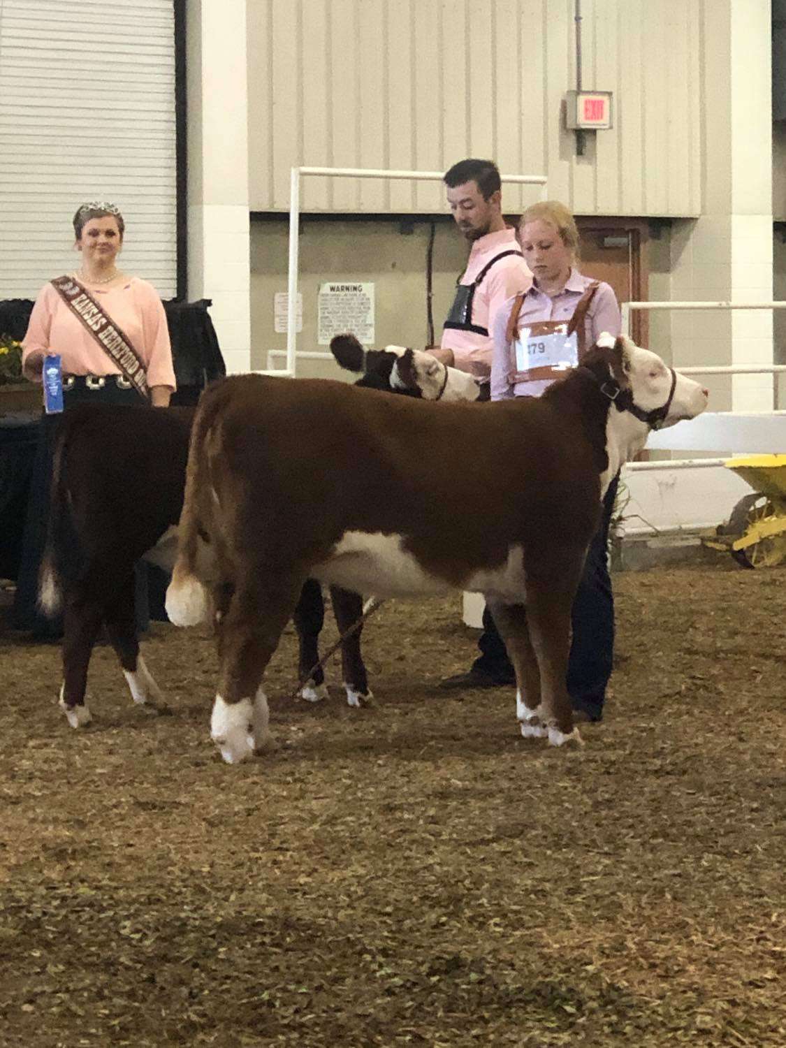 Ky State Fair Livestock Show Schedule 2024 State Fair livestock show draws nearly 200 4Hers
