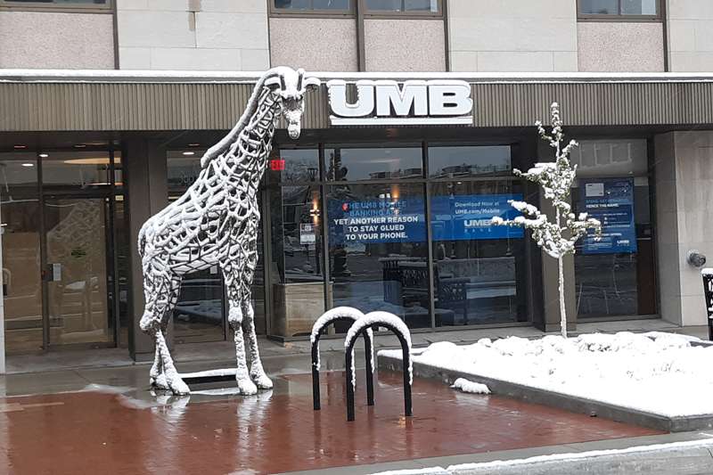 🎥Wet snow falls as frigid winter weather pushes through the area