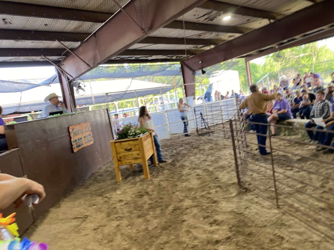 4H Auction sets new premium record