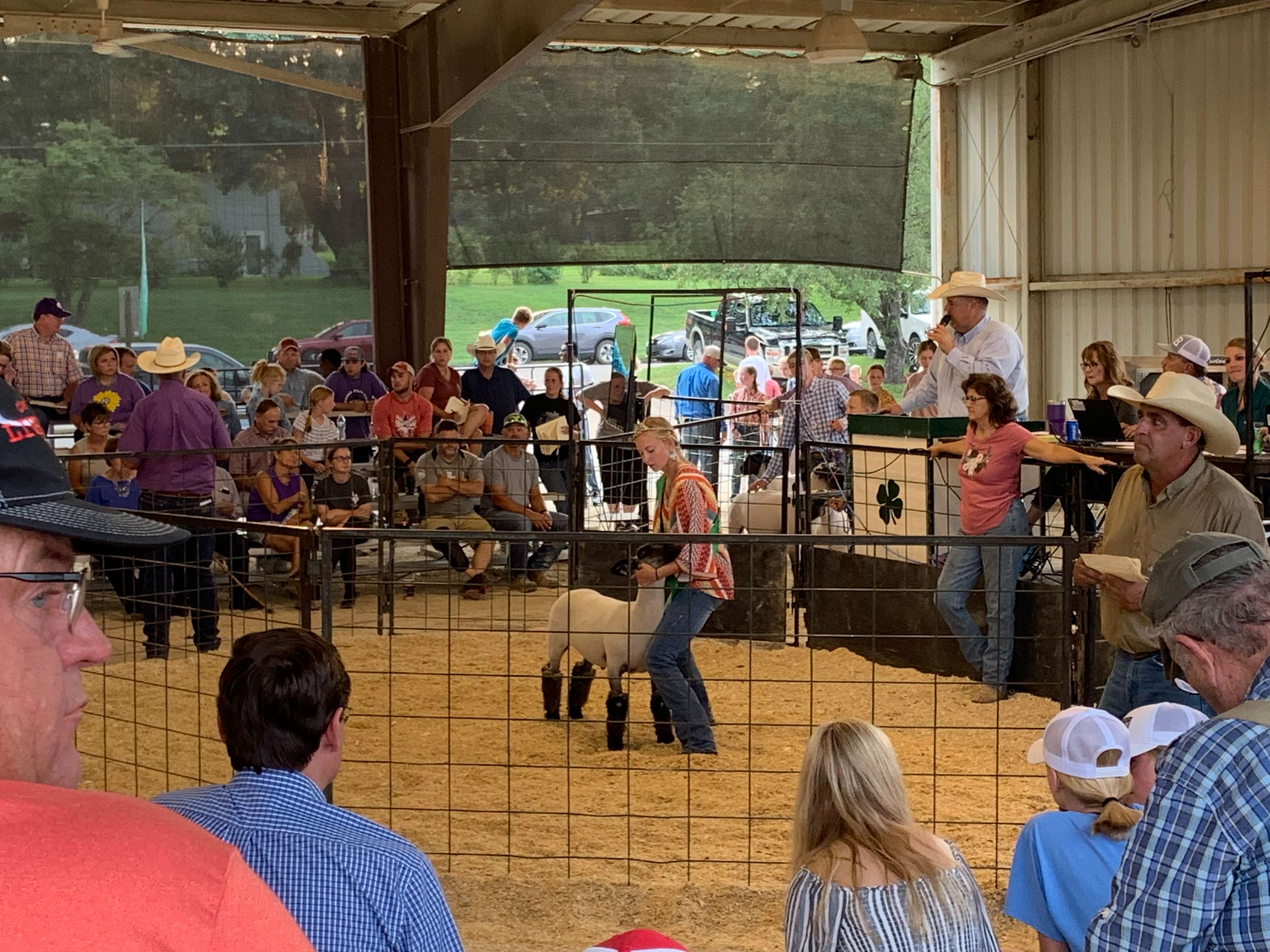 Livestock auction supports local youth