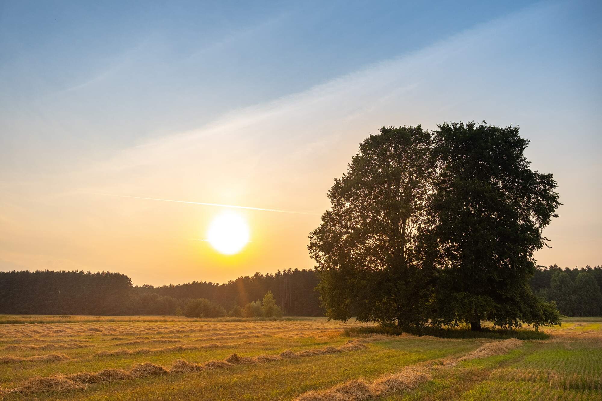 Braden Place in Southern Pines, NC Homes By Dickerson